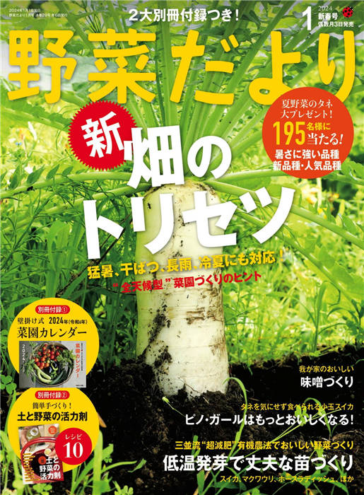 野菜だより 2024年1月号